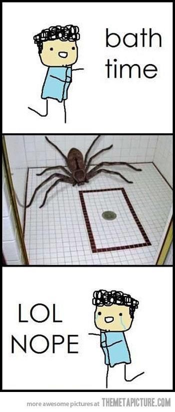 Bath Time! *Insert Huge Spider* Lol Nope! Bro Meme, Huge Spiders, Oh Hell No, 4 Panel Life, Funny Stick Figures, Rage Comics, Clean Humor, Stick Figures, Bath Time