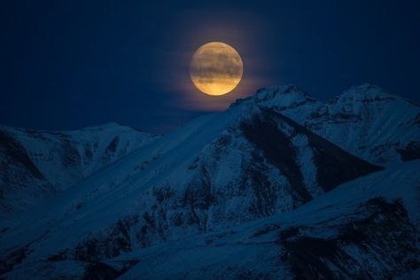 Mountains At Night, Alaska Winter, Visit Alaska, Polar Night, Night Landscape, Tromso, Lowbrow Art, Living In Alaska, Celtic Art