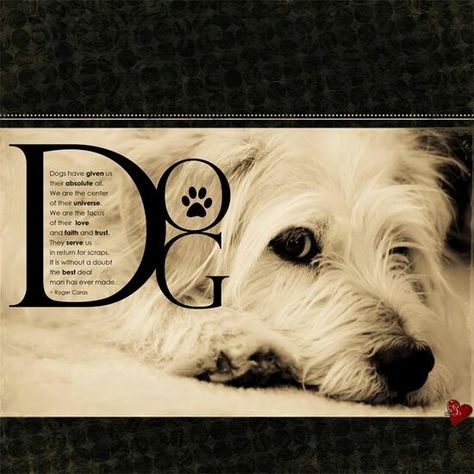 Loooove :) Dog Scrapbook Layouts Ideas, Scrapbooking Dogs Ideas, Art Clip, Pet Memorial Scrapbook Page, Dog Scrapbook Layouts, Puppy Love Scrapbook Layout, Pet Scrapbook Layouts, Dog Scrapbook, Scrapbooking Photo