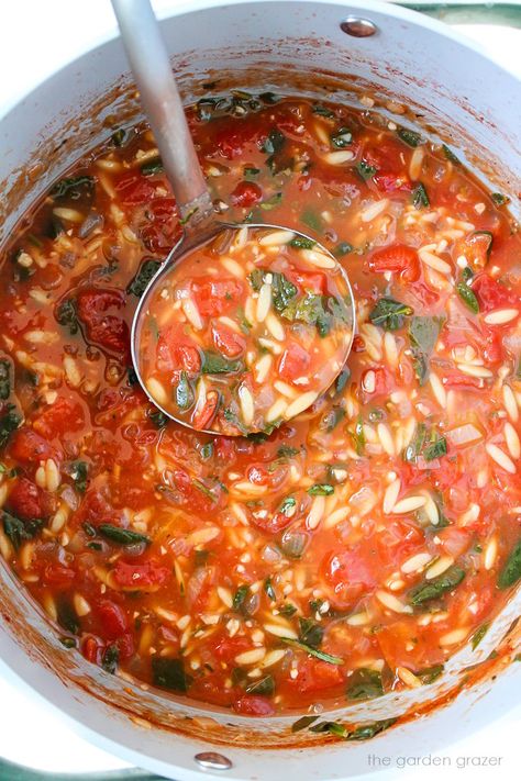 Tomato Orzo Soup with Spinach (Easy!) - The Garden Grazer Tomato Orzo Soup, Tomato Orzo, Garden Grazer, Soup With Spinach, Easy Vegan Lunch, Tomato Spinach, Freeze Dryer, Orzo Soup, Meatless Recipes