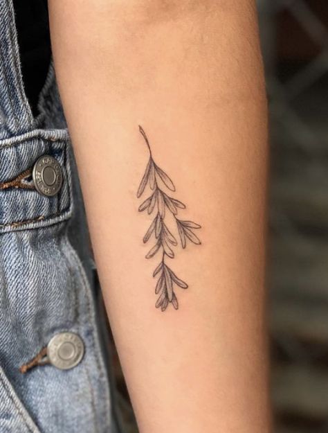 Fine Line Rosemary Tattoo, Rosemary Sprig Tattoo Simple, Evergreen Sprig Tattoo, Sage Plant Tattoo, Sage Leaf Tattoo, Granola Tattoo, Rosemary Tattoo, Wildflower Tattoo, Indian Paintbrush