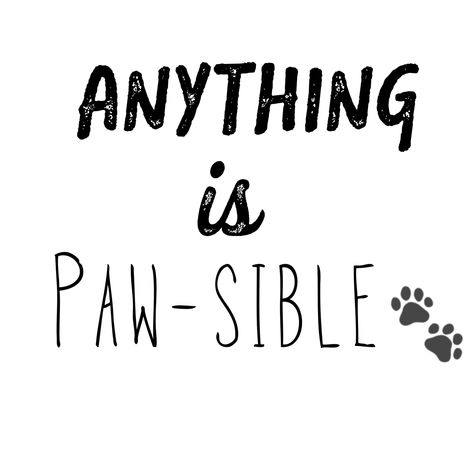 Happy Pet Quotes, Pawsitive Vibes Only, Paw Quotes Dog, Dog Groomer Quotes, Groomer Quotes, Cute Dog Quotes Short, Dalmatian Quotes, Crazy Dog Lady Quotes, Paws Quotes