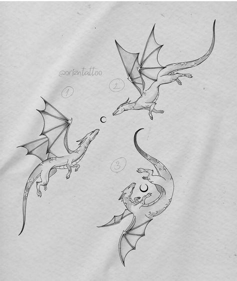 Dragon Fine Line Drawing, Tog Wyvern Tattoo, Dragon Lineart Tattoo, A Court Of Thorns And Roses Tattoos, Girly Dragon Tattoo, Delicate Dragon Tattoo, Dragon Line Tattoo, Dragon Wing Tattoo, Fire Breathing Dragon Tattoo