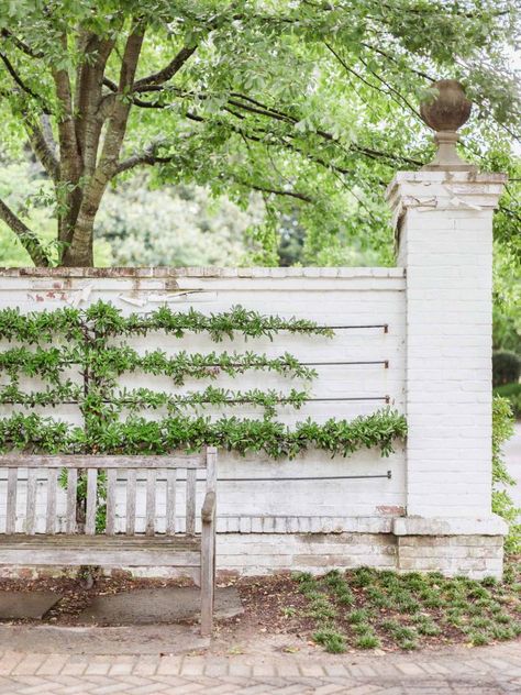 White Brick House Exterior, Brick Wall Gardens, Brick Courtyard, Sean Anderson, Brick Columns, Walled Courtyard, White Wash Brick, Brick Fence, Brick Garden