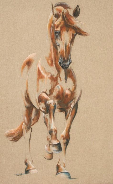 Horse Stencil, Horse Sketch, Horse Artwork, Equestrian Art, Horse Drawing, Horse Drawings, Equine Art, Horse Painting, Horse Art