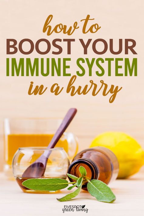 People are typically interested in just figuring out how they can get their immune system up as fast as possible, because they’re usually only looking for information on it when things are starting to go wrong. Lately, we all want to make sure that our bodies are working the best they can so we can fight off illness and viruses. Do you know how to boost your immune system quickly? #naturalhealth #immunesystem #naturalremedies How To Build Immune System, Building Immune System, How To Boost Immune System, How To Boost Immunity, Boost Immune System Naturally, Build Immune System Fast, Natural Remedies To Boost Immune System, Boost My Immune System, Build Up Immune System