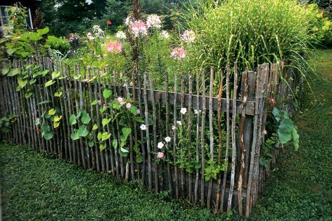 I've started collecting sticks to make this fence around my new vegetable garden. Will post a photo of my fence when completed. This photo is from the book Garden Fences, Walls and Hedges by Kathy Sheldon Diy Garden Fences, Diy Garden Gates Ideas, Garden Gates Ideas, Gates Ideas, Rustic Garden Fence, Buy Dirt, Coop Ideas, Veg Garden, Have Inspiration