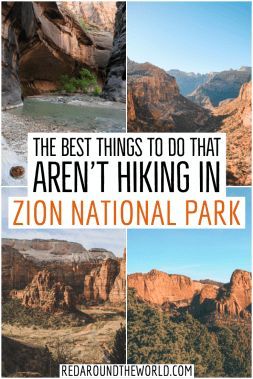 Hiking In Arizona, Hikes In Utah, Zion National Park Photography, Zion National Park Hikes, Zion Utah, Utah National Parks Road Trip, Chobe National Park, Utah Vacation, Utah Road Trip