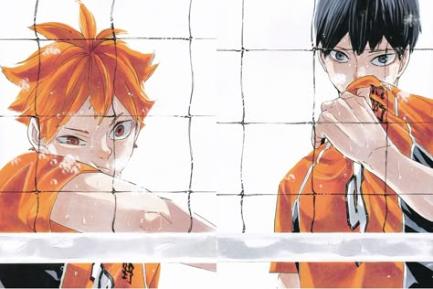 Haikyuu Pictures, Mbti Intj, Hinata Kageyama, My Pronouns, Haikyuu Volleyball, Haikyuu Wallpaper, Kageyama Tobio, Haikyuu Manga, Haikyuu Fanart