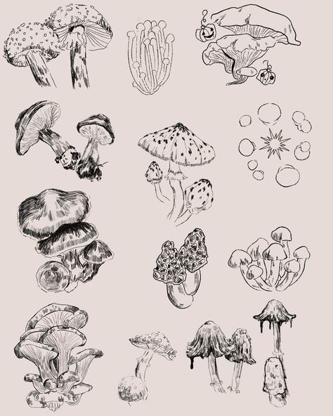 Mushroom Drawing Line Art, Cottagecore Drawing Reference, Black And Gray Mushroom Tattoo, Vintage Mushroom Tattoo, Mushroom Wildflower Tattoo, Line Work Mushroom Tattoo, Fineline Mushroom Tattoo, Mycology Tattoo, Fern Mushroom Tattoo