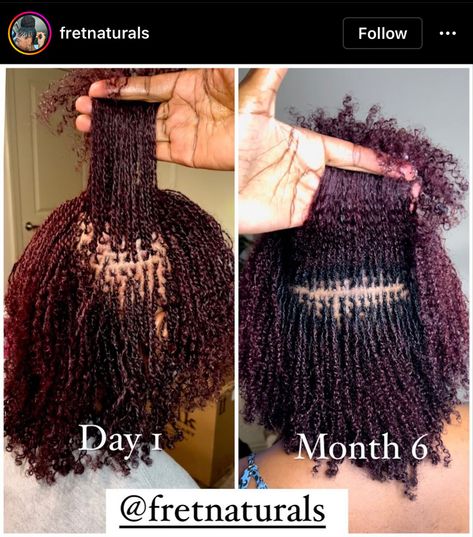 Micro Locs Color, Ombre Microlocs, Microloc Extensions Permanent, Coloured Microlocs, Tender Micro Twist, Micro Locs With Curly Ends, Micro Twists With Extensions, Micro Braids Natural Hair, Loks Hair