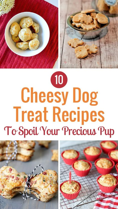 Dog Treat Business, Cheese Ideas, Homemade Pet Treats, Dog Treats Recipes, Pet Treats Recipes, Pet Recipes, Dog Treats Homemade Easy, Easy Dog Treat Recipes, Treat Business