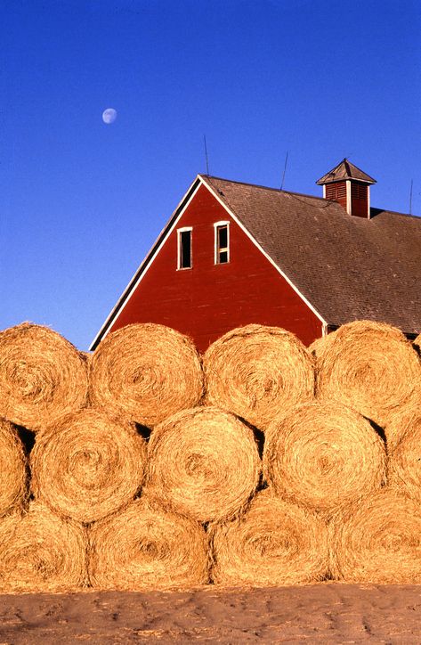 Country Barns, Hay Bales, Farm Barn, Country Scenes, Farms Living, Down On The Farm, Red Barns, Old Barns, Country Charm