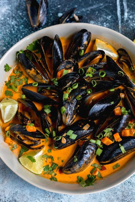 Thai Coconut Mussels - Dash of Mandi Coconut Curry Mussels Recipe, Steamed Mussels And Clams, Red Curry Mussels Recipe, Thai Red Curry Mussels, Valentines Seafood Dinner Ideas, Thai Mussels Recipe, Mussels Appetizer Recipe, Thai Curry Mussels, Red Curry Mussels