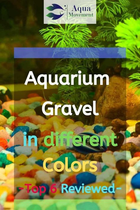 Aesthetic Fish Tank Ideas, Glofish Aquarium, Fish Tank Gravel, Aquarium Gravel, Decorative Gravel, Glass Aquarium, Aquatic Turtles, Aquarium Setup, Fresh Water Fish Tank