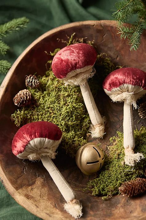 Velvet Mushrooms, Set of 3 | AnthroLiving Velvet Mushrooms, Mushroom Crafts, Festive Holiday Decor, Feather Tree, Wild Mushrooms, Mushroom Art, Decorative Bowl, Christmas Table Settings, Mint Velvet