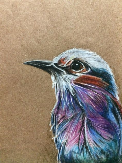 Birdie #bird #toned #tan #paper #art #illustration #colourful #sketch #sketchbook #artjournal #coloured #pencil Color Pencil Art Realistic Animals, Toned Tan Paper Art Sketches, Tan Toned Paper Art, Toned Paper Drawing Colored Pencils, Painting With Color Pencil, Toned Tan Paper Drawing, Toned Tan Paper Art, Art On Brown Paper, Colored Pencil Art Ideas