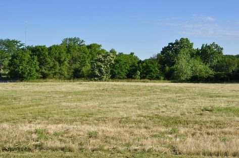 Sell My Land Forsyth County NC [We Buy Land In Forsyth County] My Land, Buy Land, Knox County, Purchase Contract, Winston Salem Nc, Property Investor, Carson City, Vacant Land, Fast Cash