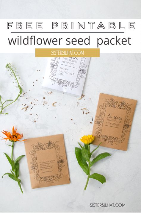 print off these beautiful seed packets and use them for Valentines or just a spring gift idea for a friend. #printable #wildflowerprintable #valentineprintable Printable Seed Packets, Flower Seed Gifts, Diy Seed Packets, Seeds Gifts, Valentine Days, Flower Seeds Packets, Handmade Holiday Gifts, Creative Diy Gifts, Valentines Printables Free