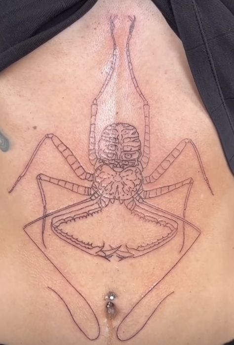 Whip Scorpion Tattoo, Scorpion Tattoo Outline, Tailless Whip Scorpion, Whip Scorpion, Gothic Tattoos, Scorpion Tattoo, Gothic Tattoo, Tattoo Outline, Scorpion