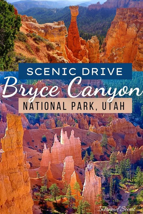 Bryce Canyon National Park With Kids, Canyon Lands National Park, Bryce Canyon Hikes, Bryce National Park, Utah National Parks Road Trip, Utah Parks, Utah Trip, Trip To Grand Canyon, Utah Vacation