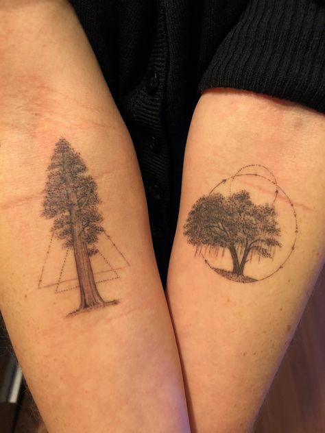 The duality of me. A Sequoia and Live Oak- by Dr. Woo in Hollywood CA Live Oak Tattoo, Sequoia Tattoo, Oak Tattoo, Oak Leaf Tattoos, Nerd Tattoos, Tattoo Mistakes, Dr Woo, Nerd Tattoo, Body Decor