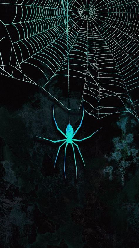 For Pc Wallpaper, Hd Wallpaper For Pc, Hd Wallpapers For Pc, Beautiful Summer Wallpaper, Wallpaper For Pc, Iphone Wallpaper Landscape, Spiderman Artwork, Spider Art, Crazy Wallpaper