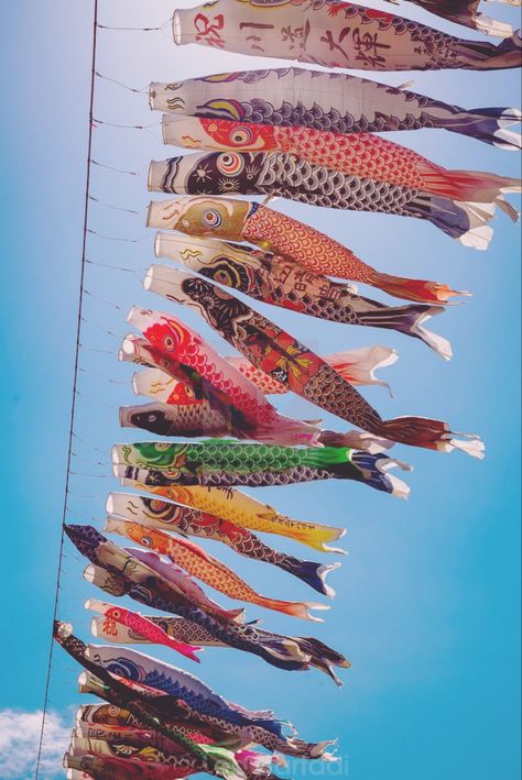 Koinobori Aesthetic, Japan Aesthetic Traditional, Japan Culture Traditional, Golden Week Japan, Carp Streamer, Japanese Celebrations, Golden Week, National Holiday, Japon Illustration