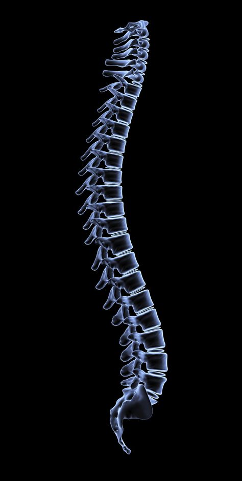 Google Image - dynamic blue spine Spine Wallpaper, Spine Images, Spine Xray, Spine Pictures, Radiology Aesthetic, Spine Illustration, Spine Art, Straight Spine, Human Spine