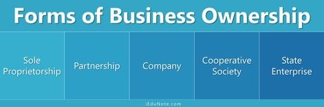 Forms of Business Ownership Blog Webdesign, Organization Development, Start A Website, Limited Liability Company, Own Your Own Business, Sole Proprietorship, Business Ownership, Business Studies, Financial Problems