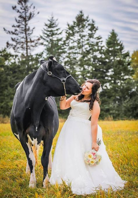 Cow Wedding Photos, Farmers Wedding, Dairy Farm Wedding, Cow Wedding, Farmer Wedding, African American Weddings, Dairy Cow, Farm Photography, Dairy Farm