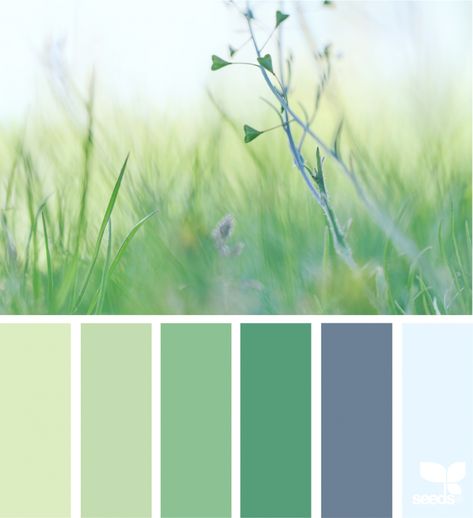 Color Nature Design Seeds Color Palette, Seeds Color Palette, Design Seed, Seeds Color, Color Palette Challenge, Color Pallete, Color Schemes Colour Palettes, Hue Color, Sea Design