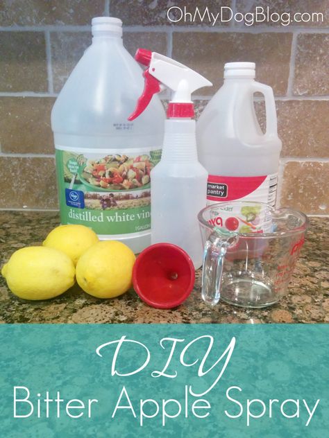 DIY bitter apple spray: A safe, healthy, inexpensive alternative to store-bought spray deterrents Diy Window Cleaner, Homemade Glass Cleaner, Window Cleaner Homemade, Granite Cleaner, Dog Spray, Mirror Cleaner, Deep Cleaning Hacks, Cleaner Recipes, Biggie Smalls