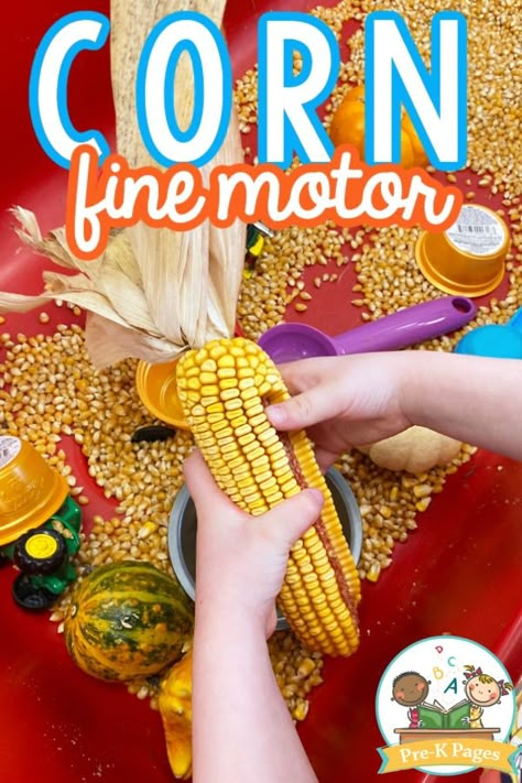 Corn Theme Preschool Activities, Pilgrims Theme Preschool, Fall Harvest Ideas For Preschool, 5 Senses Sensory Bin, Corn Theme Preschool, November Sensory Bin Preschool, Fall Corn Activities For Preschool, Corn Sensory Bin Ideas, Thanksgiving Sensory Bin Preschool