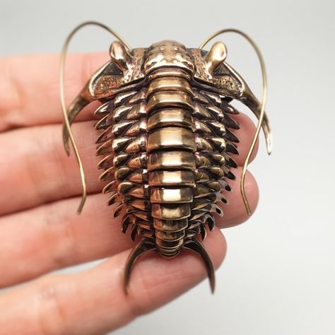 Alas, the humble trilobite will probably never star in its own Saturday morning cartoon or make it into next year's lineup of Beanie Babies, mostly because it i 3d Cnc, Insect Art, Charles Darwin, Gothic Steampunk, Bronze Sculpture, Metal Sculpture, 3d Printer, 3d Art, 3d Printed