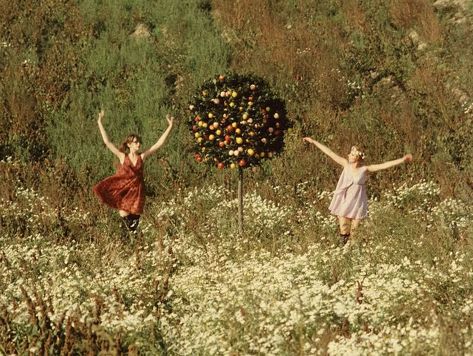 Daisies (1966) Director: Věra Chytilová Daises 1966, Daisies 1966, Mothers Daughter, New Wave Cinema, Field Mouse, I Love Cinema, Film Inspiration, Movie Gifs, Apple Tree