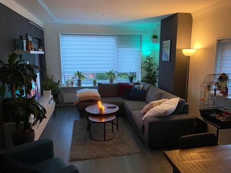 Rental Apartment Aesthetic, Living Room With Chase Couch, Colorful Dark Living Room, Earth Tone Minimalist Living Room, Apartment Living Room Men, Dark Apartment Living Room, Mens Interior Design Living Room, Electric Apartment Decor, Boy Apartment Decor