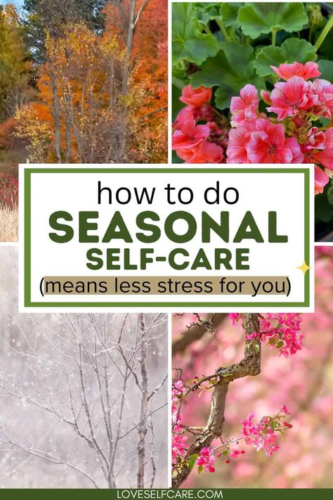 Wondering how to tailor your self-care to the seasons? With seasonal self-care ideas and inspiration for Spring, Summer, Winter and Fall! Seasonal Self Care, In Flow, Caring Meaning, Seasonal Activities, Hocking Hills, What Is Self, Body Is A Temple, Care Quotes, The Seasons