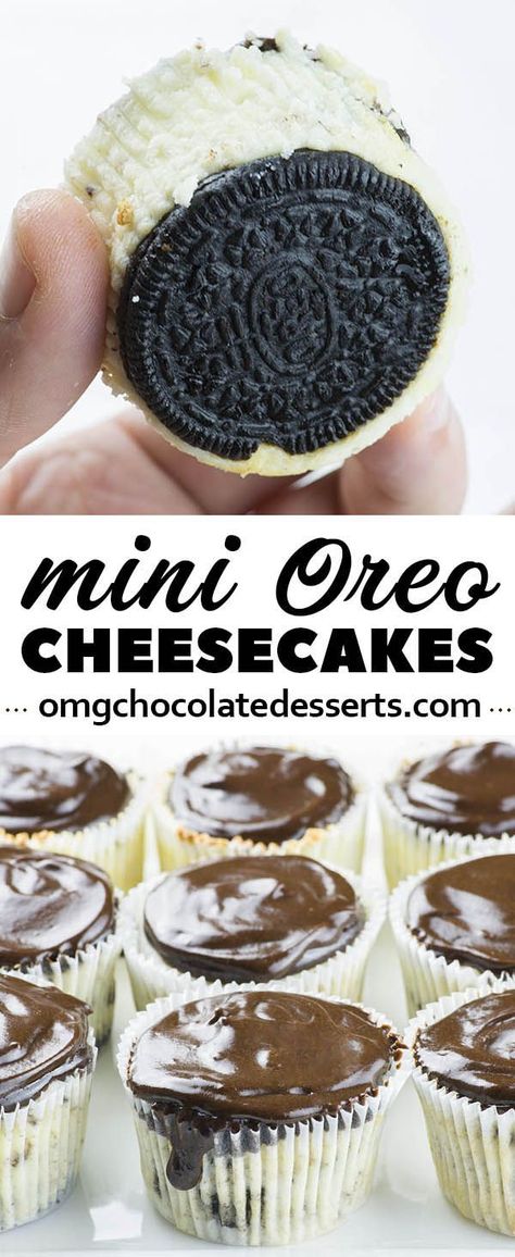 Mini Oreo Cheesecake is simple and easy recipe with only a few ingredients for delicious bite-sized Oreo cheesecake with a thick layer of silky ganache on top. Chocolate Desserts Recipes, Mini Oreo Cheesecake, Weight Watcher Desserts, Cheesecake Oreo, Low Carb Dessert, Best Cheese, Oreo Cheesecake, Mini Cheesecakes, Savoury Cake