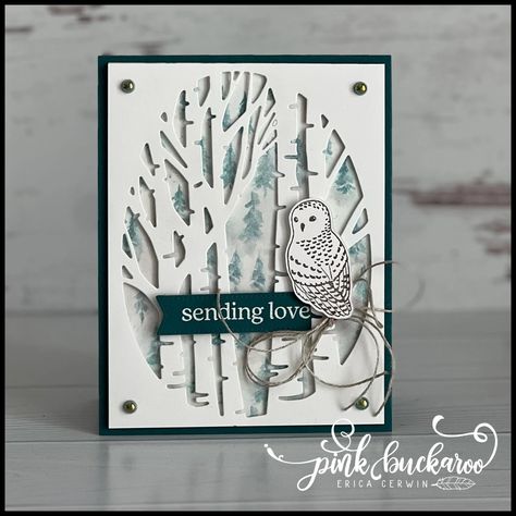 Stampin Up Winter Birthday Card Ideas, Polar Bear Christmas Cards, Winter Owls, Pet Holiday Cards, Pink Buckaroo Designs, Owl Cards, Winter Owl, Owl Card, Cat Stamp