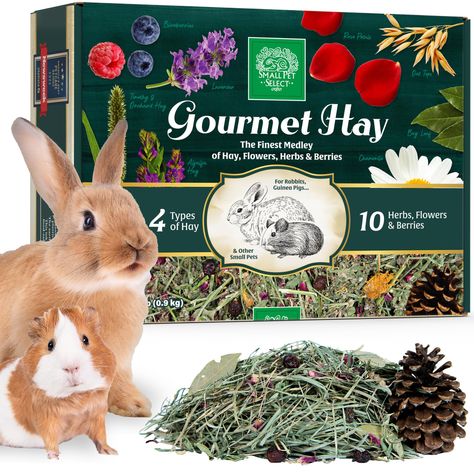 PRICES MAY VARY. We've loaded up several kinds of hay with sweet-smelling herbs and flowers to make it an absolutely irresistible treat (as well as great varied nutrition). Great option to add variety to diet and perk up your pet's hay appetite By & For Small Animal Owners - We work hard to keep you as happy with us as your animal is with our products. 2lb Treat Hay- Use as a hay topper, place inside hay to forage for, or a stand alone treat. After dinner (main hay feed) give them desert (Gourme Flowers To Make, Herbs And Flowers, Chinchillas, Small Pet, Small Animals, Rodents, Pet Food, Guinea Pigs, Pet Owners