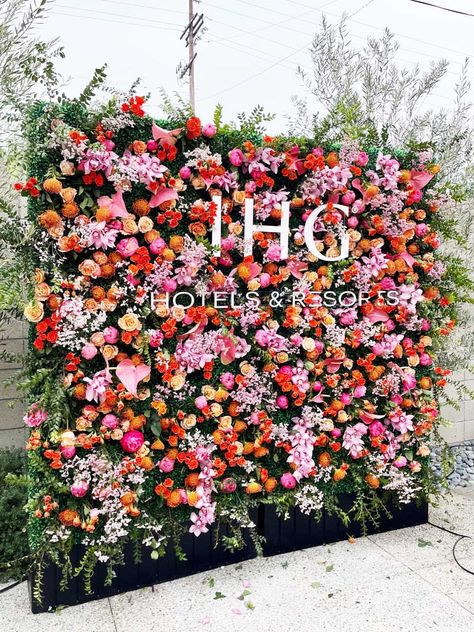 Flower Hedge Wall, Branded Flower Wall, Boxwood Room Divider, Hedge Wall Diy, Real Flower Wall, Hedge Wall With Flowers, Boxwood Wall Bedroom, Outdoor Selfie Wall, Hedge Backdrop Wedding