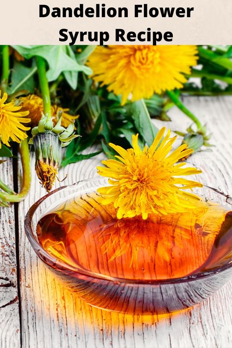 Flower Syrup Recipe, Dandelion Syrup, Flower Syrup, Watermelon Keg, Dandelion Coffee, Gluten Free Party Food, Spring Cleanse, Dandelion Flowers, Vegan Recipes Beginner