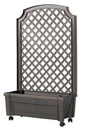 Exaco 1.416 GREY Calypso Planter with Trellis and Self Watering System, Metallic Grey Planter With Trellis, Planter Trellis, Unique Planter, Plastic Planters, Water Reservoir, Self Watering Planter, Self Watering, Climbing Plants, Privacy Screen