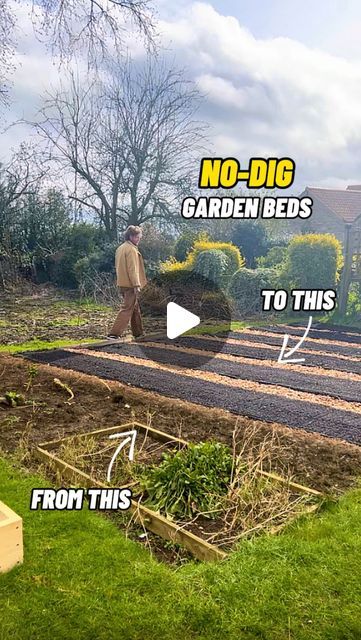 Jamie Walton | Nettles & Petals on Instagram: "Creating NO-DIG Growing beds 🌱

I’m in the process of converting an old unkept allotment into an organic no-dig vegetable garden and it’s finally time to create the main growing beds! And of course they are all going to be created utilising the ‘no-dig’ or ‘minimal disturbance’ methodology. 

This old allotment space had been dug over year after year and the soil has sunk and degraded overtime. But by mulching instead of digging or tilling, we can mimic natural processes and start to rebuild that soil structure and allow the myriad of life within to thrive whilst creating a symbiotic relationship with the plants we then grow, increasing yields and boosting biodiversity. There’s also far less weeds and effort once they are made! 😊🙌🏻

I main No Till Vegetable Garden, No Dig Garden, Homesteading Animals, Gardening Indoors, Edible Gardens, Dig Gardens, Grow Food, Growing Veggies, Symbiotic Relationships