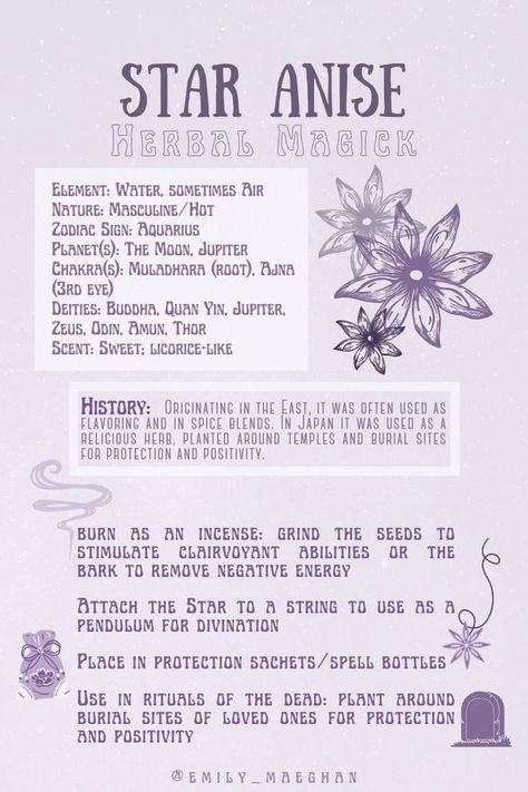 Star Anise Witchcraft Uses, Star Anise Meaning Witchcraft, Anise Magical Properties, Star Anise Spiritual Meaning, Magical Correspondences Herbs, Anise Star Magic, Magical Properties Of Star Anise, Saturday Magical Correspondences, Star Anise Witchcraft