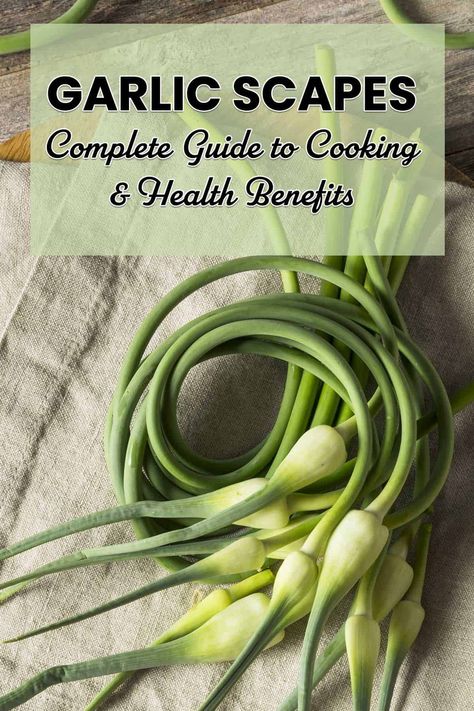 Garlic scapes are delicious and have multiple uses. Garlic scapes also have lots of health benefits, similar to regular garlic. Learn everything you need to know about garic scapes, including the health benefits and ways to preserve and prepare them. Garlic Scapes, Types Of Vegetables, Jams & Jellies, Have You Ever, Health Benefits, Jelly, Need To Know, Jam, Garlic