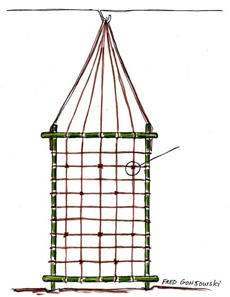 An Easy to Make Trellis for Morning Glory Vines Trellis For Clematis, Make Trellis, Homemade Trellis, Garden Shrubs Evergreen, Small Retaining Wall, Clematis Trellis, English Landscape Garden, Morning Glory Vine, Diy Privacy Fence