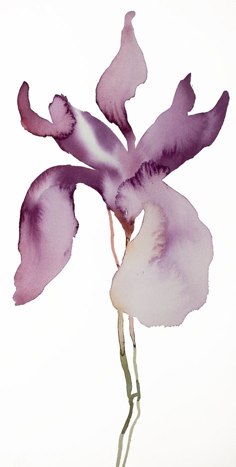 Artfully Walls, Iris Flowers, Flower Prints Art, Golden Girl, Irises, Art Buyer, Photo Canvas, Painting Style, Original Watercolor Painting