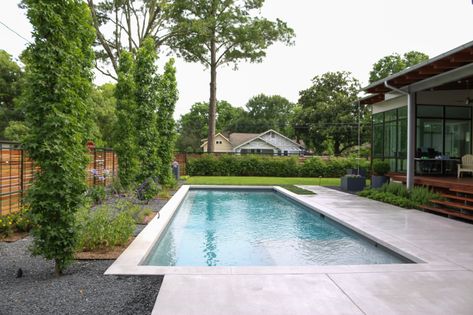 Modern Pool Landscaping, Pool Landscaping Backyard, Houston Landscaping, Small Pool Houses, Aunt Becky, Houston Heights, Landscaping Backyard, Modern Pool, Rectangular Pool